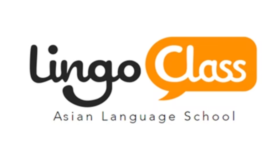 lingo class case study pixel