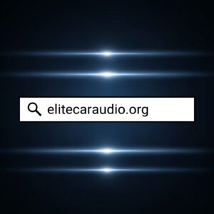 elite car audio backlink