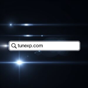 Tunexp.com Backlink